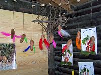 (147 von 243) : KIGA Hausen Waldwoche